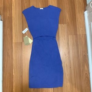 Aritzia Wilfred Free Cut-Out Knit Mini Dress